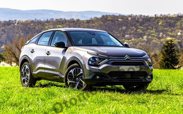 Ordu Citroen Özel Servis Reşha Otomotiv ile Üstün Bakım