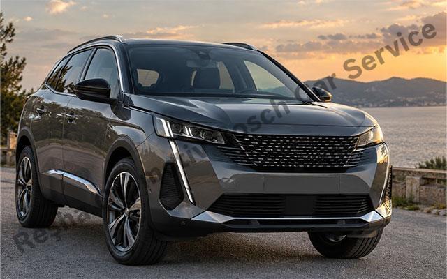 Ordu Peugeot Servisi