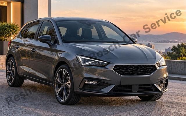 Ordu Seat Servisi